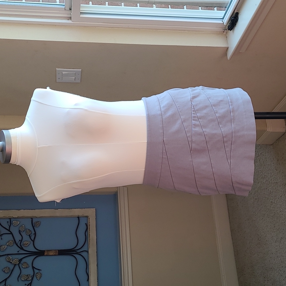 Express skirt, 10